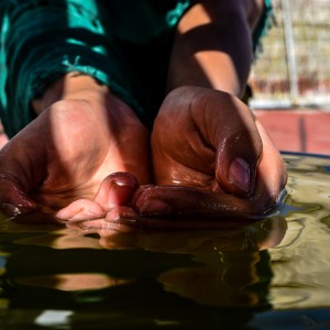 Falta de Agua (1)